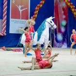 Турнир «Алина» 2014 - 66 