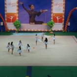 Турнир «Алина» 2013 - 66 